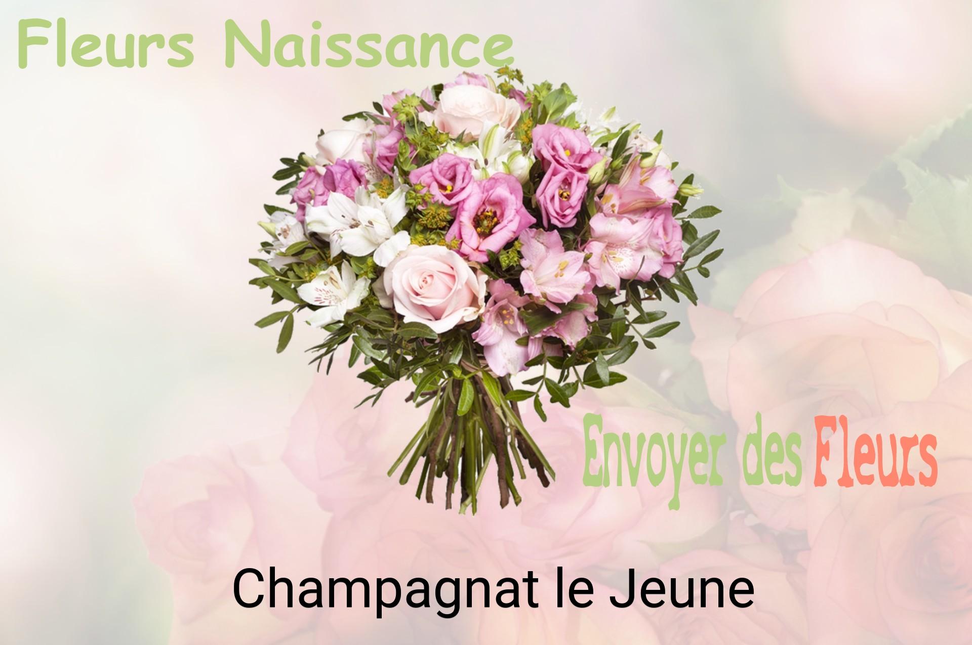 Bouquet de fleurs de naissance livré à Champagnat-le-Jeune